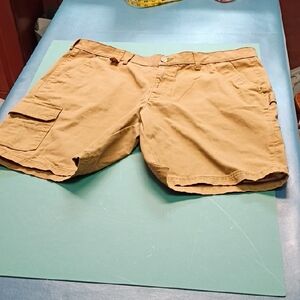 Brahma Men's 40 Brown Cargo/Carpenter Shorts